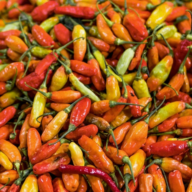 Maple Hot Sauces