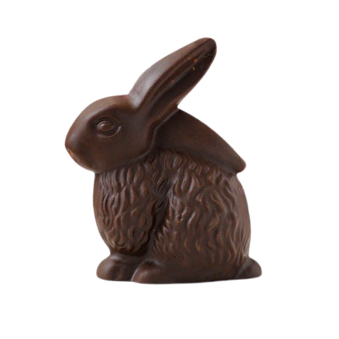 Sea Salt 'n' Almond Organic Milk Chocolate Bunny