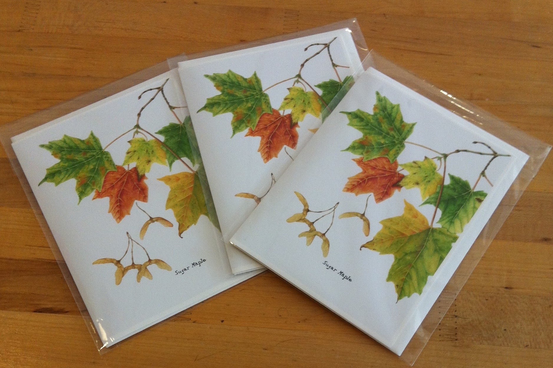 Sugar Maple Stationery Gift Cards